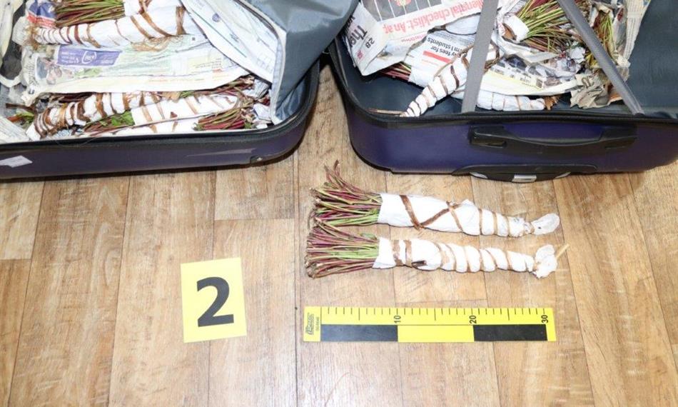 2020-2-24-724foto 3 kata.jpg